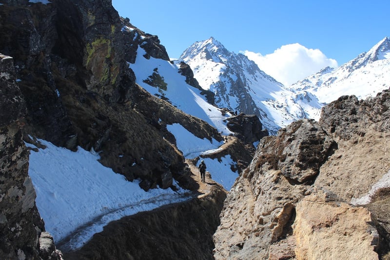 Trekking in the Himalayas